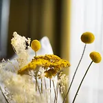 ホテル Gartenhotel Fettehenne
