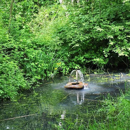 Gartenhotel Fettehenne فندق 3*