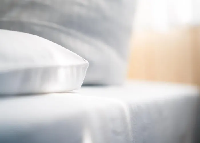 Gartenhotel Fettehenne 3* 埃克拉特