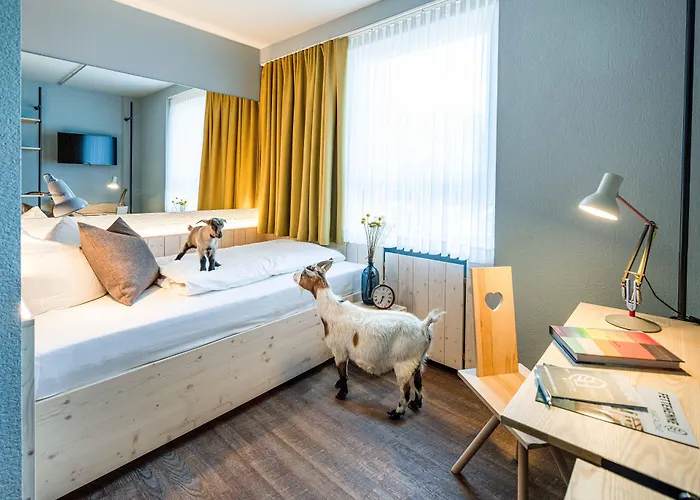 酒店 Gartenhotel Fettehenne