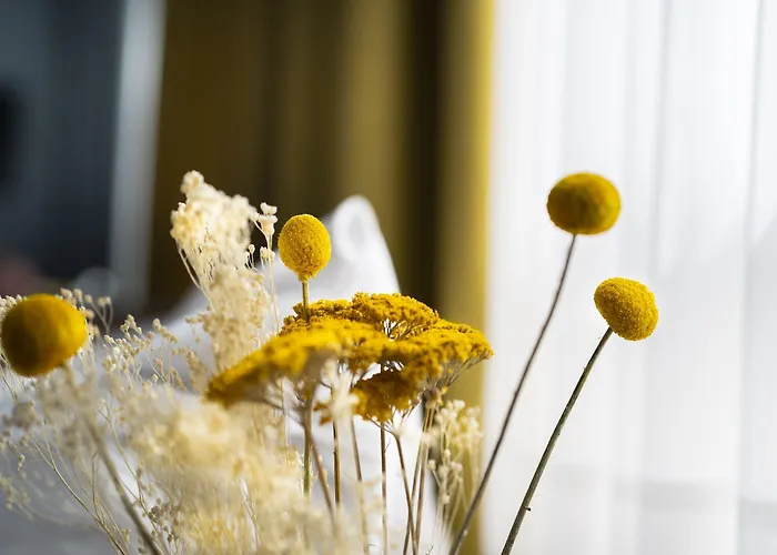 Ξενοδοχείο Gartenhotel Fettehenne