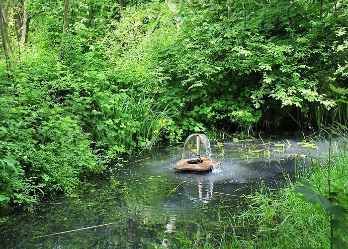 Gartenhotel Fettehenne 酒店 3*